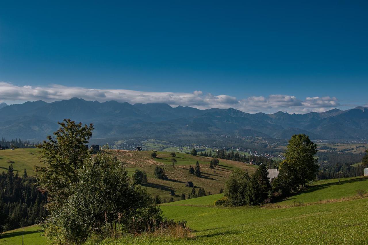 Domki U Skowyrow Gliczarow Bagian luar foto
